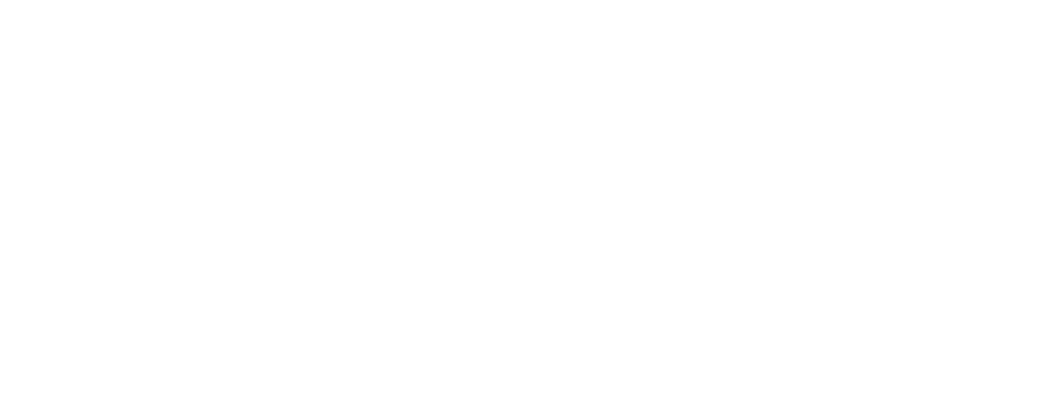 Logo weiß Wilei GmbH
